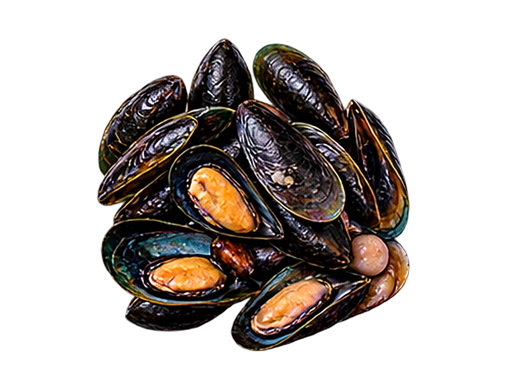 Mussels