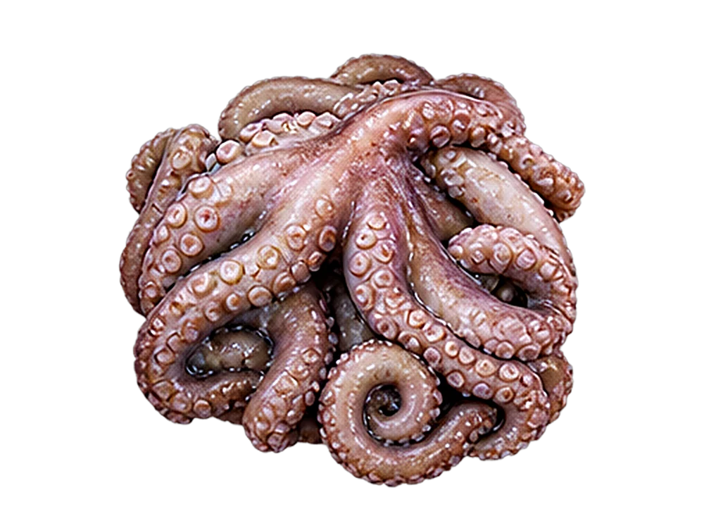 Ourite, hand-caught at low tide